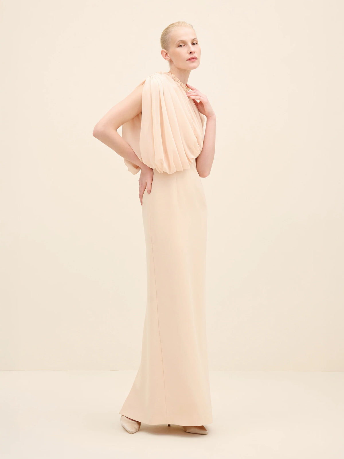 NÉAN Draped Chiffon Bodice Crepe Column Gown - Beige